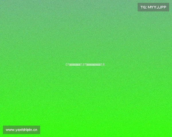 07年大众帕萨特领驭1.8T手自一体豪华版,四缸1.8...